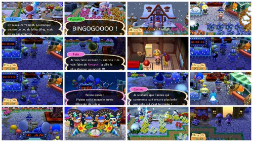 jeux vidéos, Animal Crossing New Leaf, Skyrim, X Box, Nintendo 3 DS, challenge geek