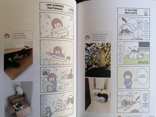 manga chats,tamako tamagoyama,bd du mercredi,larousse,chats