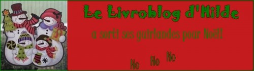 Big Bannière Noël r1.jpg