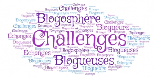 Challenges, blogosphère, nuage de mots
