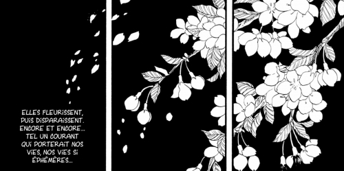 les cerisiers fleurissent malgré tout,keiko ichiguchi,manga,un mois au japon