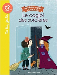 Le cagibi des sorcières, Marie-Hélène Delval, Première lecture, CP, roman