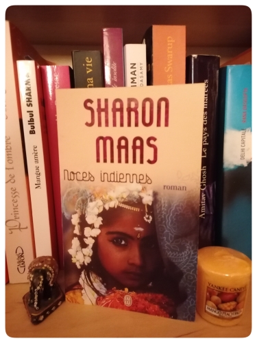 noces indiennes,sharon maas,roman,inde,les étapes indiennes