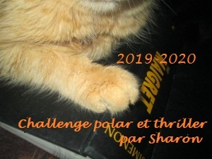 logo, challenge Polar et thriller, Sharon