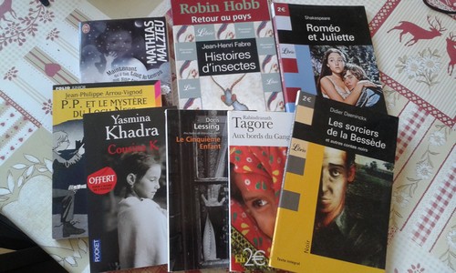 week-end à 1000 pages, lecture, 