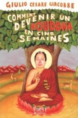 Comment devenir un Bouddha en cinq semaines.jpg